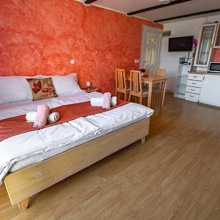 招待所 Slovenian Traditional 贝古耶·纳·格伦奇克