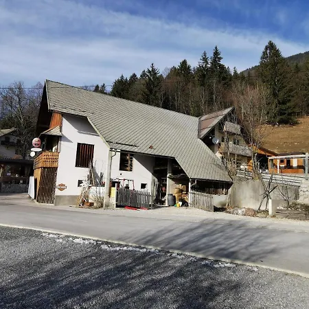 Slovenian Traditional Guest House Pensionat