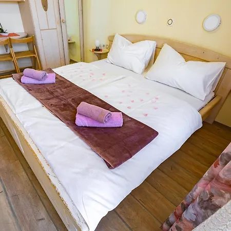Slovenian Traditional Guest House Pensionat 3*