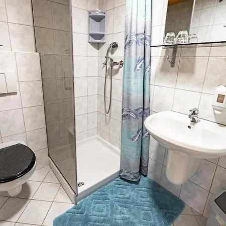 Slovenian Traditional Guest House Begunje na Gorenjskem