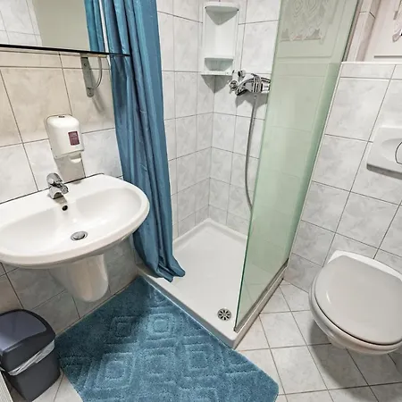 Slovenian Traditional Guest House Pensionat 3*