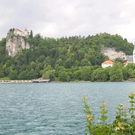 Slovenian Traditional