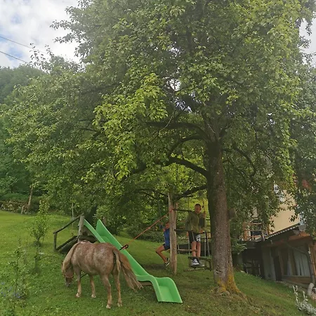 Pensionat Slovenian Traditional Guest House 3*