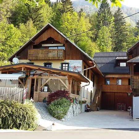 Pensionat Slovenian Traditional Guest House 3*