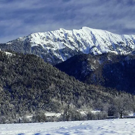 Slovenian Traditional Guest House Begunje na Gorenjskem